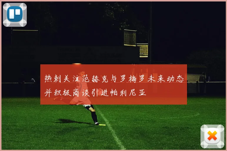 热刺关注范赫克与罗梅罗未来动态并积极商谈引进帕利尼亚